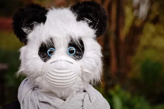 Casino of Dreams Supporto